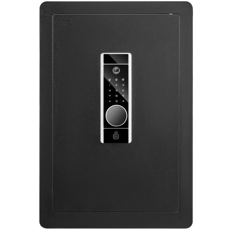 SucceBuy 전기 금고 2.2/1.8 입방피트 지문 - Fire Safe Document 리뷰 및 가격