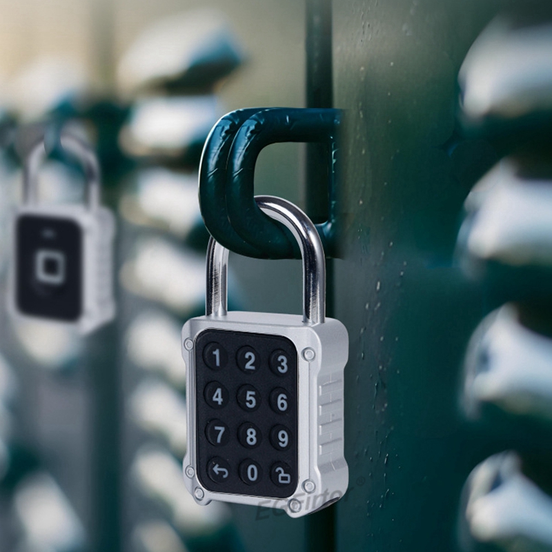 Tuya 블루투스 APP 원격 전자 스마트 자물쇠 비밀 - Lockbox Key Secure 리뷰 및 가격